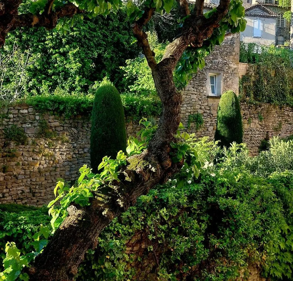 Bed & Breakfast Le Murier Vaison-la-Romaine